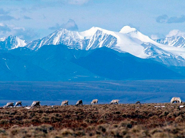 Alaska-Arctic Refuge