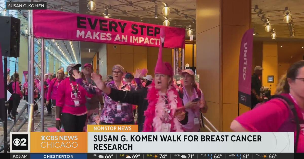 Susan G. Komen walk for breast cancer research CBS Chicago