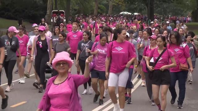 Hundreds of people, many wearing pink, walk through Central Park. 