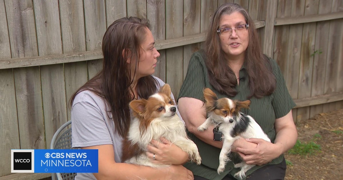 St. Paul family's puppy missing after van stolen - CBS Minnesota