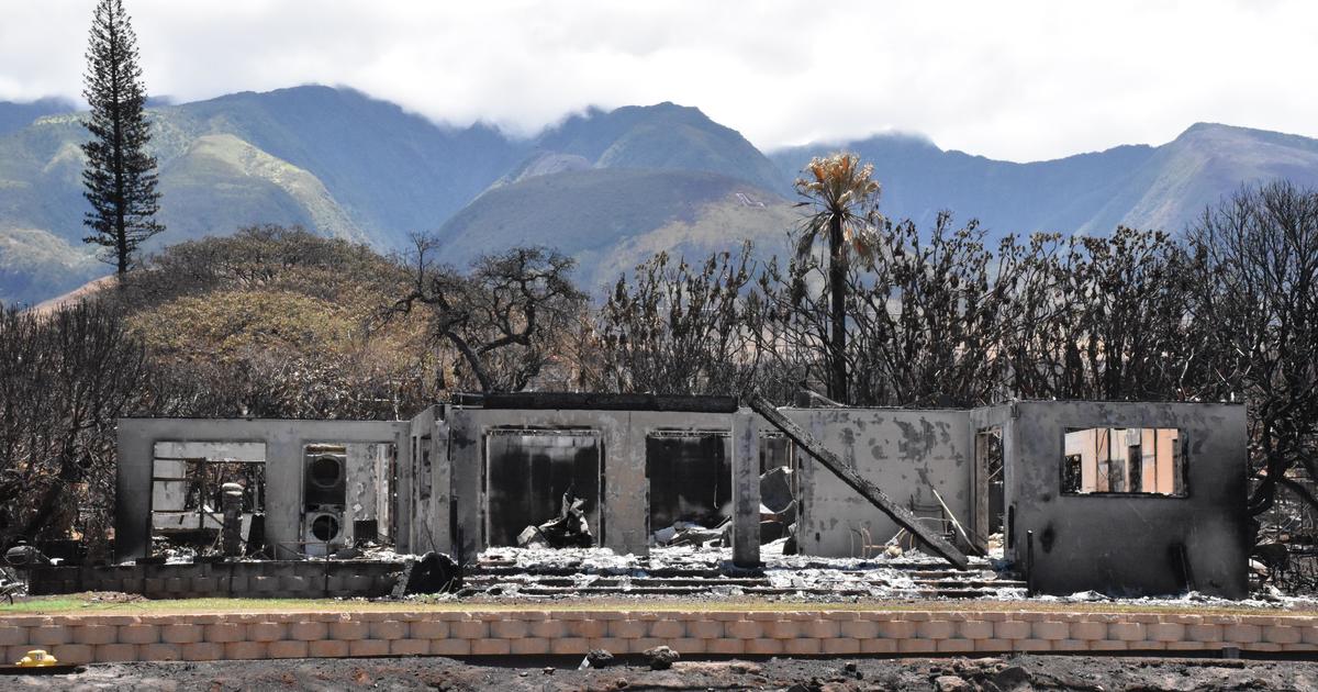 Последната жертва на горските пожари на Мауи е идентифицирана месеци след бедствието
