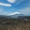 Head of euthanasia firm dies while climbing Mount Fuji