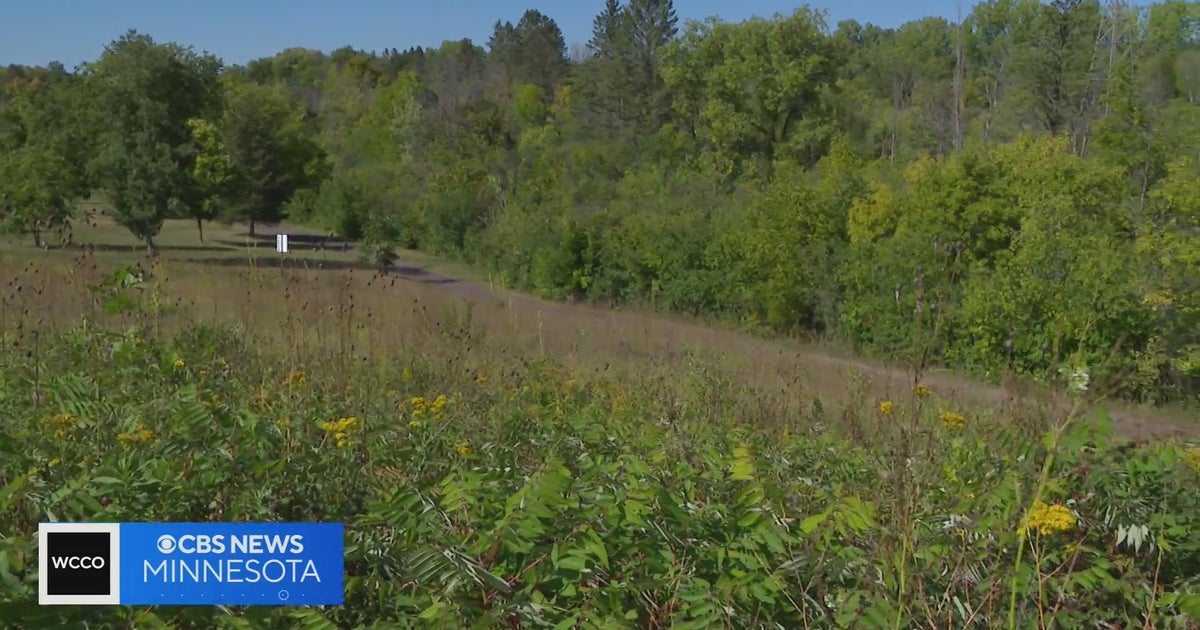 Minnesotans already suffering through brutal fall allergy season CBS