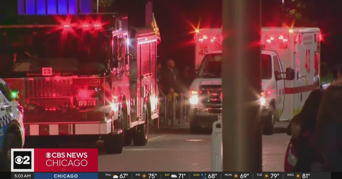 Tourist boat crew helps rescue person in water near Navy Pier - CBS Chicago