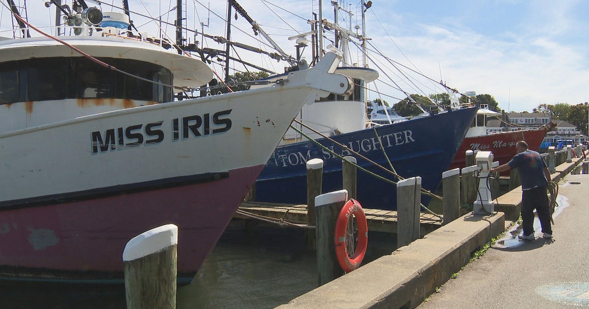 Cape Cod fishermen, businesses prepare for Hurricane Lee - Vimarsana News