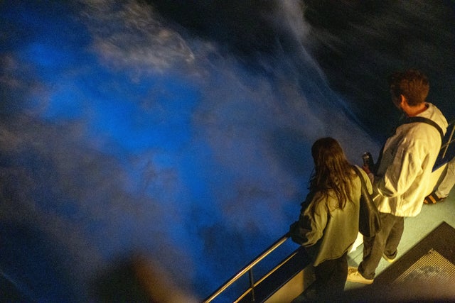 Bioluminescence in Newport Beach aboard Davey's Locker Evening Bioluminescence Glow Coastal Cruise. 