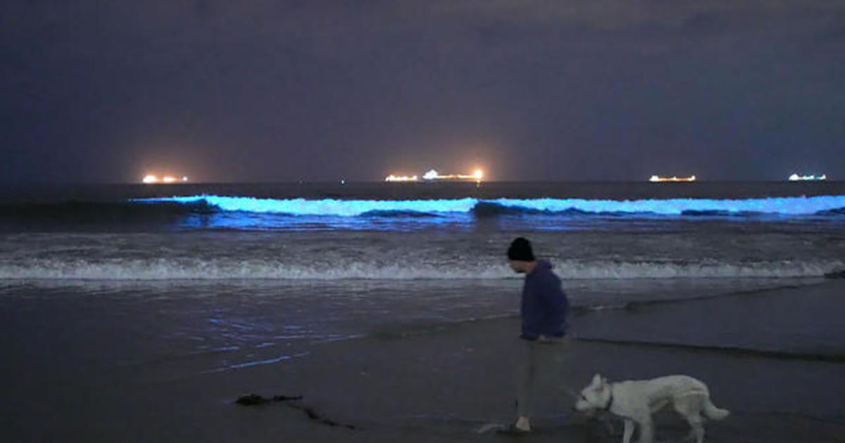 Bioluminescent waves illuminate Southern California beaches