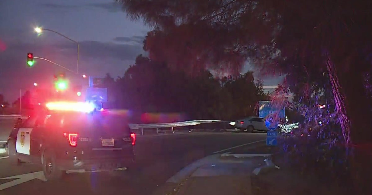 Woman fleeing police hit by vehicles after leaving car and running on I-80 onramp
