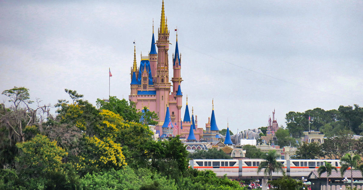 Наблюдаването на мечка в дърво в Disney World доведе до затваряне на Magic Kingdom