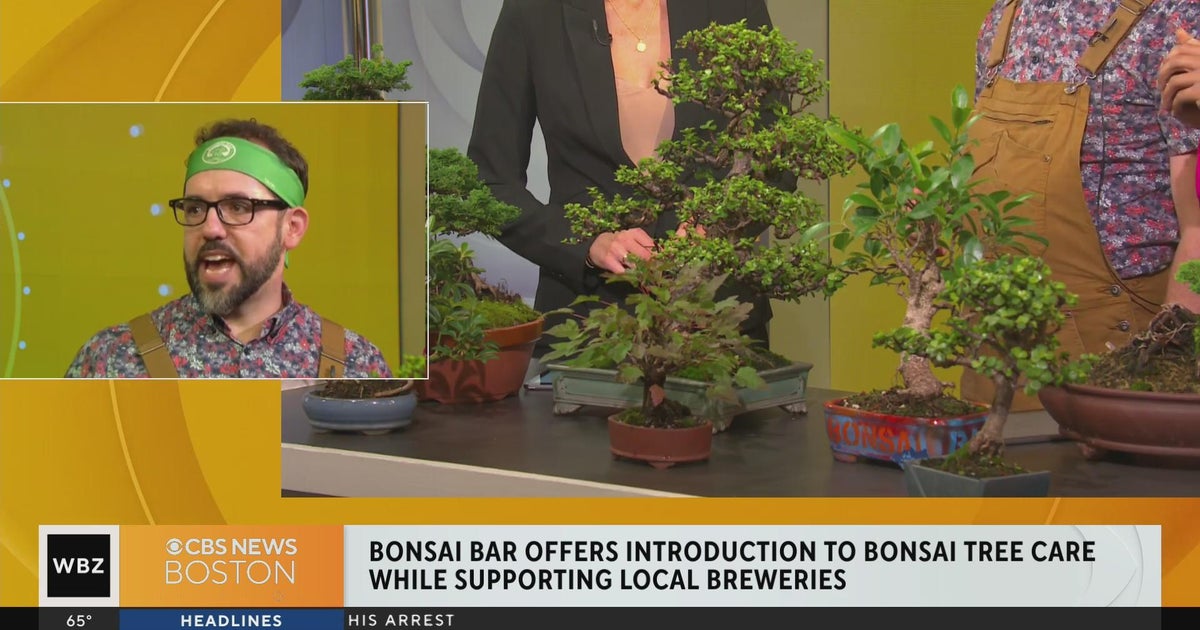 Bonsai Bar offers introduction to Bonsai Tree Cafe while supporting