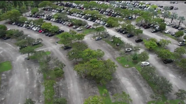 zoo-miami-parking-lot.jpg 