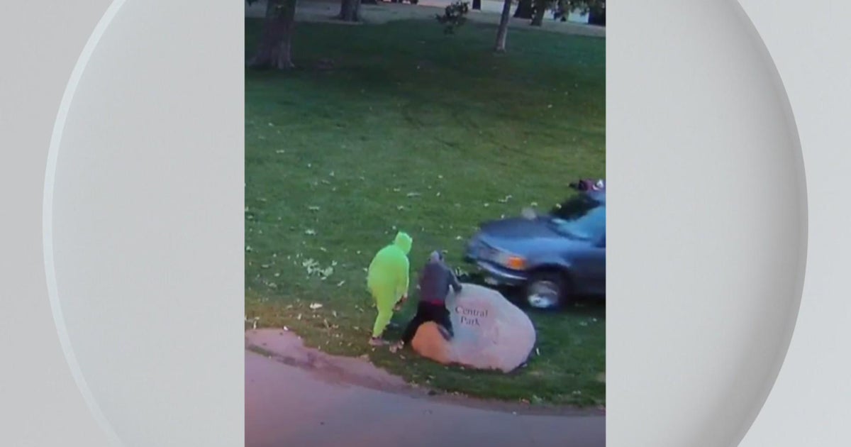Driver arrested after police say he tried to run over people in park ...
