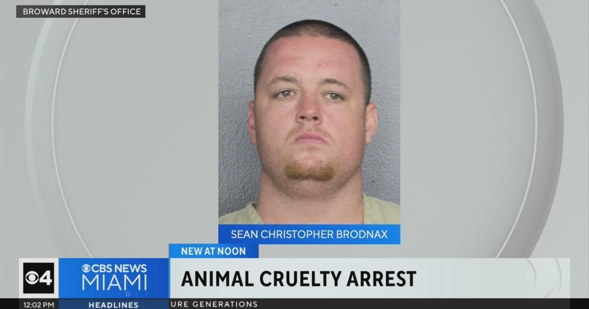 Davie person accused of running unlawful puppy mill Davie person accused of running unlawful puppy mill