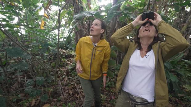 Sharyn Alfonsi and Lucy Cooke look for sloths 