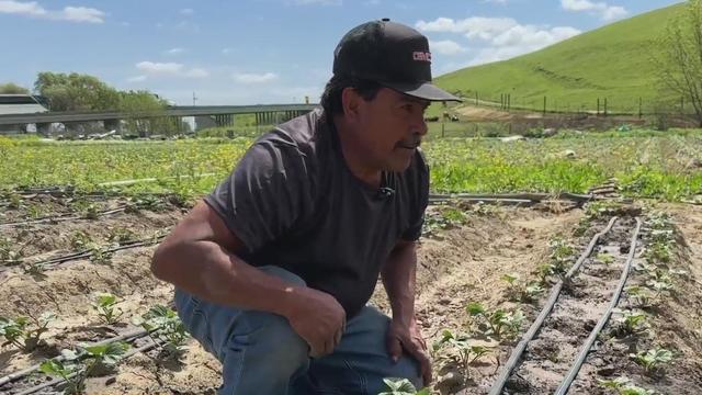 Gilroy farmworker Raul Vega 