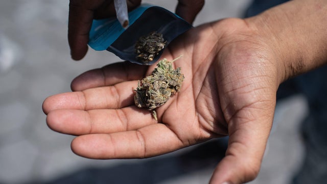 Marijuana flowers seen in a medical marijuana dispensary in Oklahoma