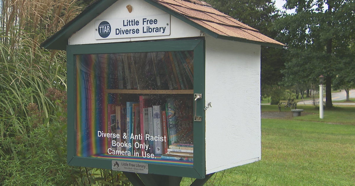 Little Free Diverse Library facing scrutiny in Rochester Little Free Diverse Library facing scrutiny in Rochester