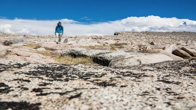 Accelerating critical minerals discoveries