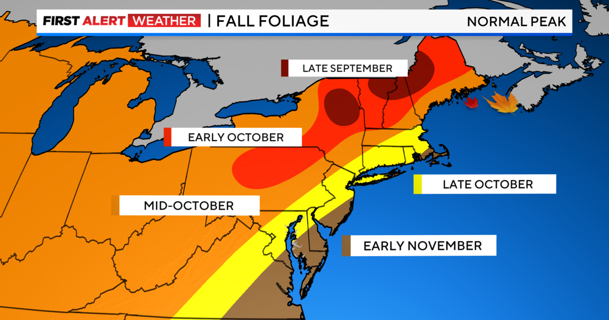Fall in New York, Weather and what to do in October and November