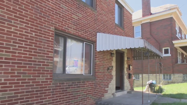 Blue police lights on a car 