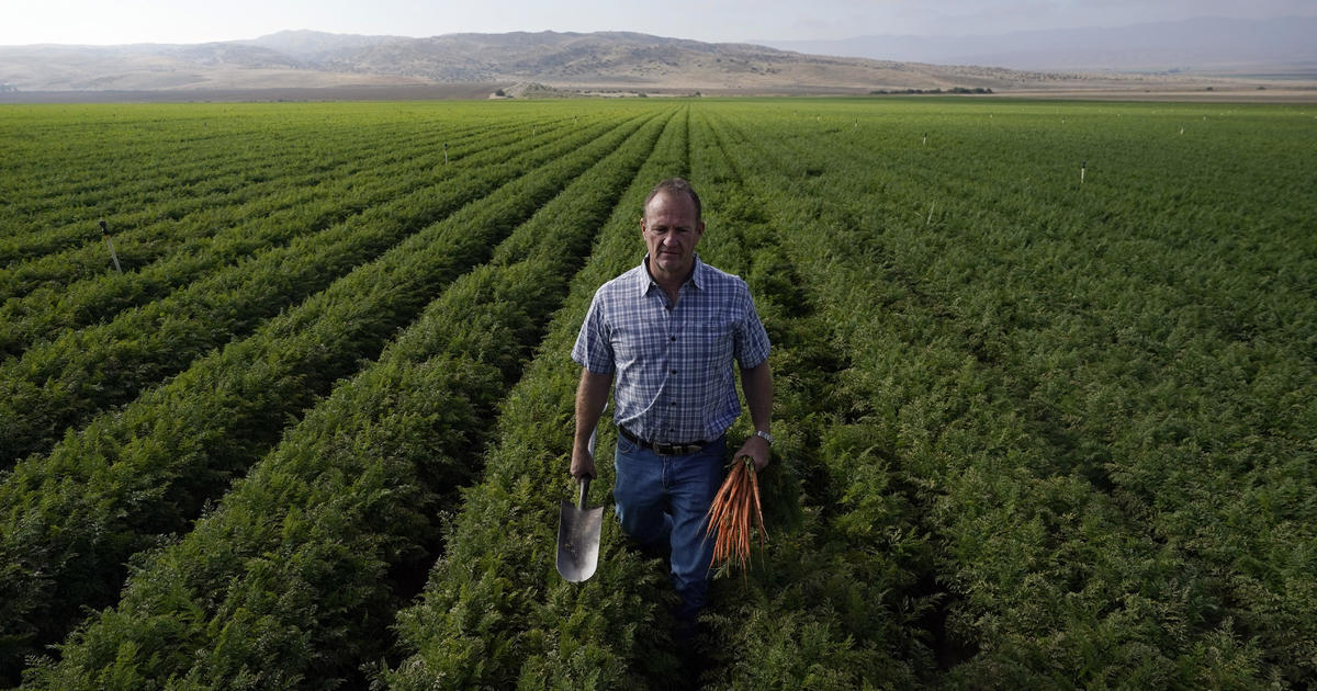 A fight over precious groundwater in a rural California town is rooted in carrots