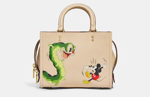 coach-bag.jpg