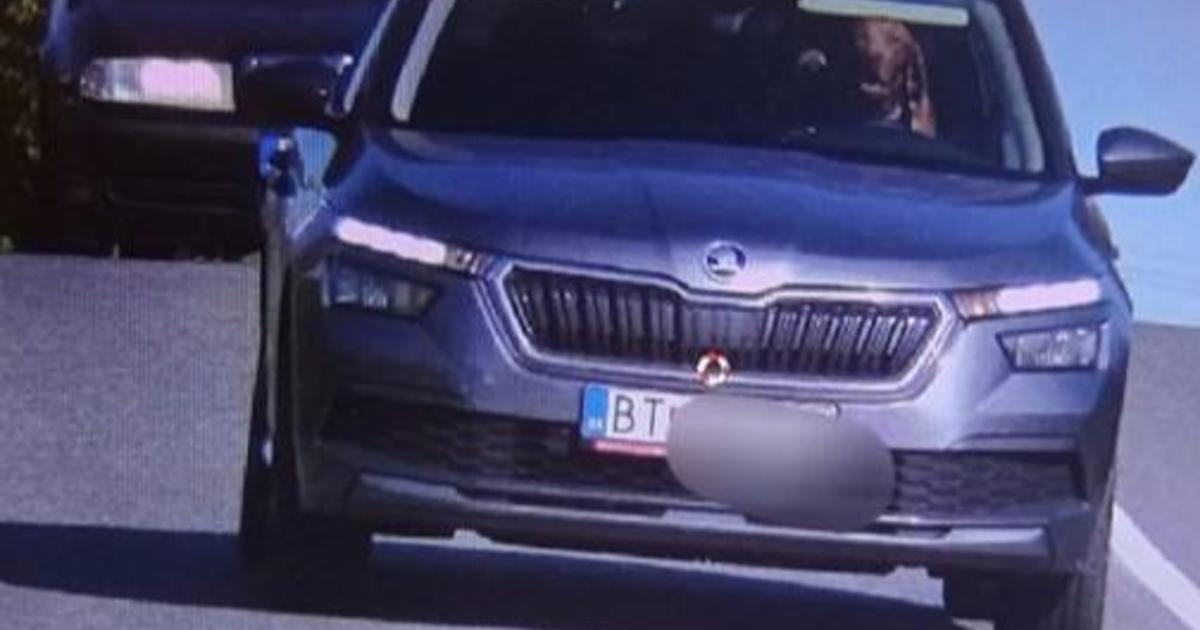 Dog caught in driver's seat of moving car in speed camera photo in Slovakia