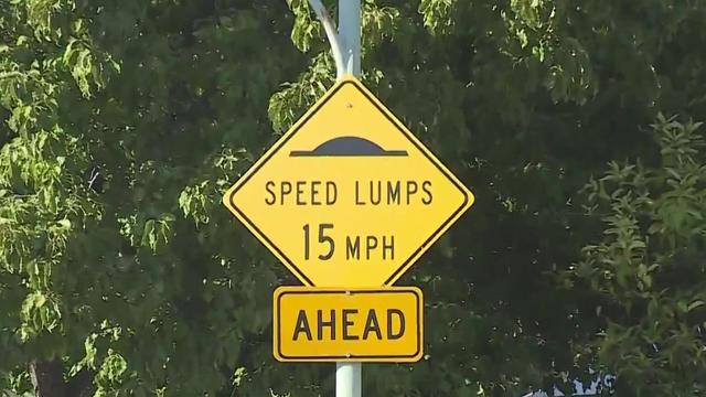 speed-lump-sign.jpg 