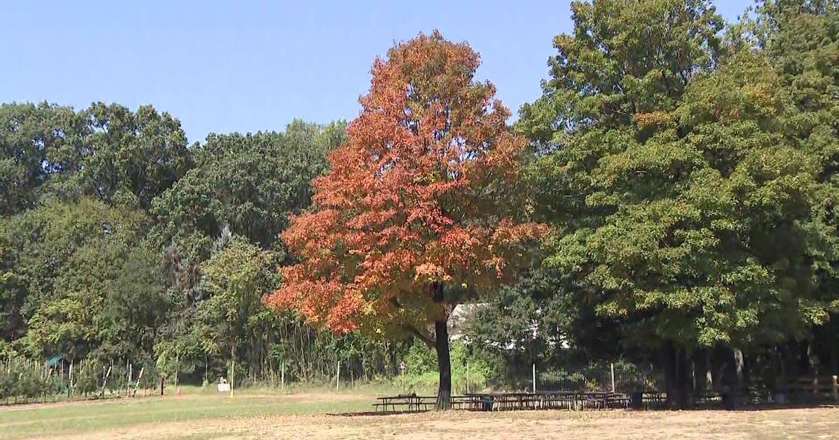 Best Place for Fall Foliage in Pennsylvania: Keystone State Park in Westmoreland County