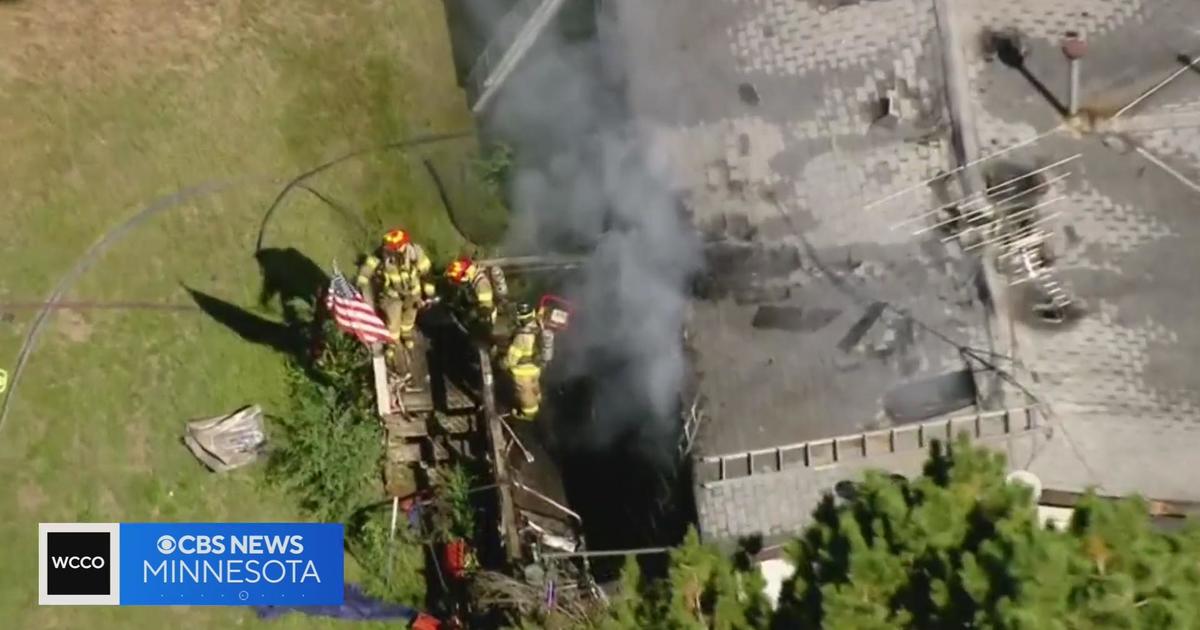 Kitten found alive days after Minnesota house explosion