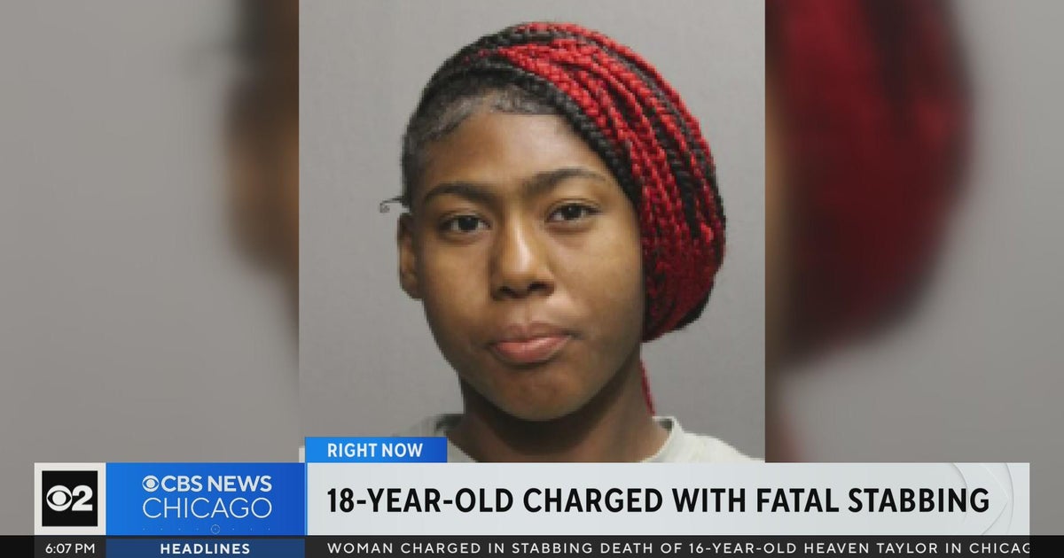 Chicago stabbing: 18--year-old charged with murder of teen in the Loop ...