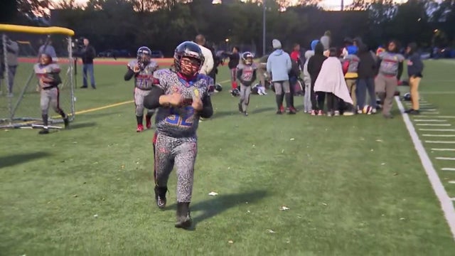 Mandrake Park Shooting 