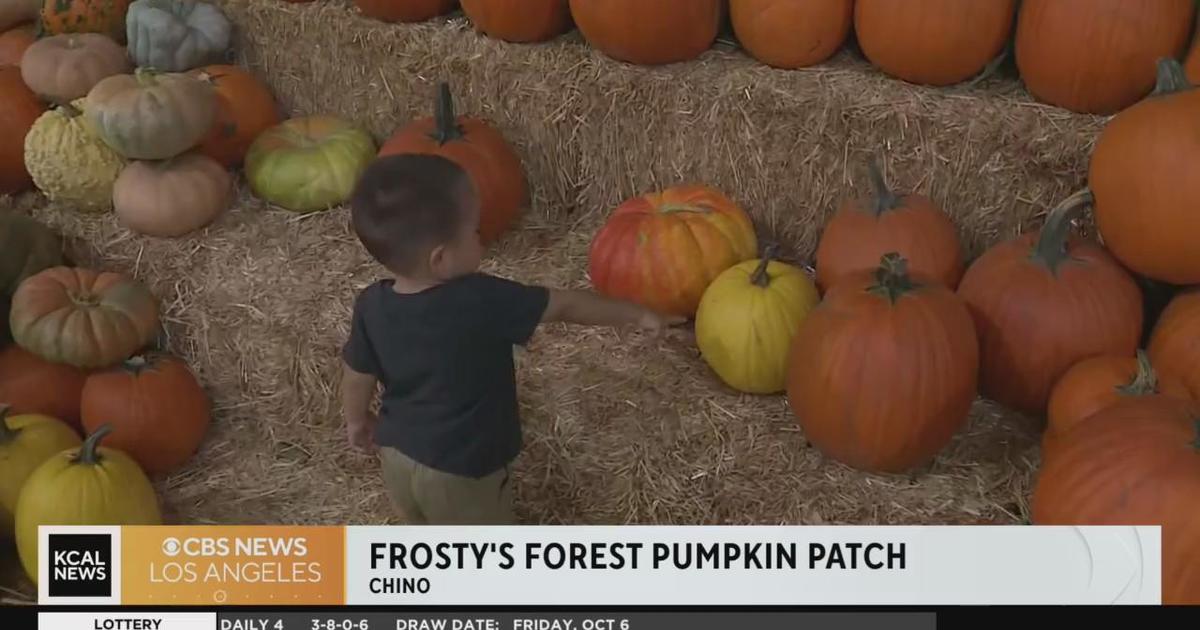 Fun for all at Chino's Frosty’s Forest Pumpkin Patch CBS Los Angeles