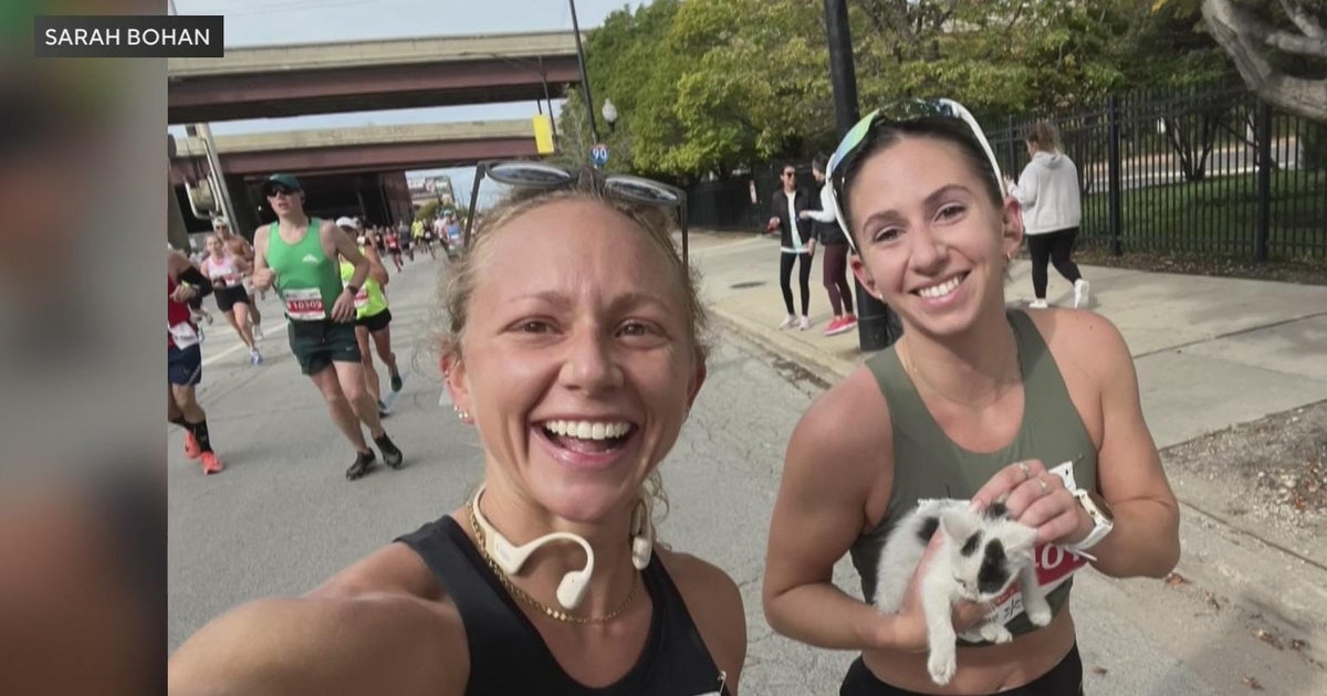 Chicago Marathon runner saves tiny kitten during the race Chicago Marathon runner saves tiny kitten during the race