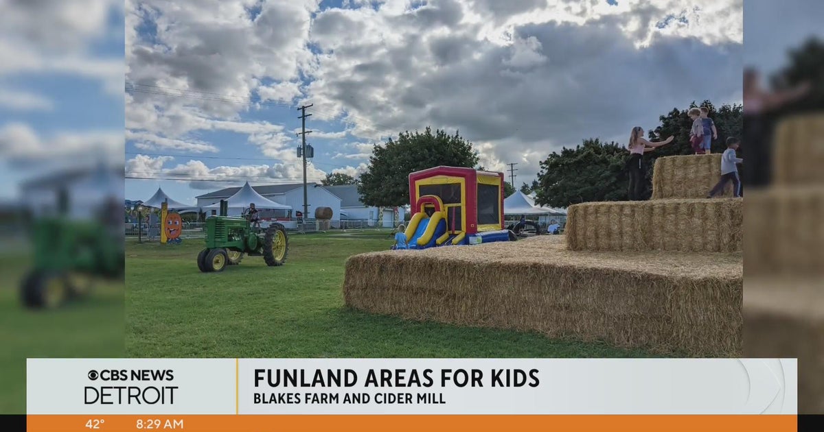 LittleGuide Detroit Funland area for kids at Blake's in South Lyon