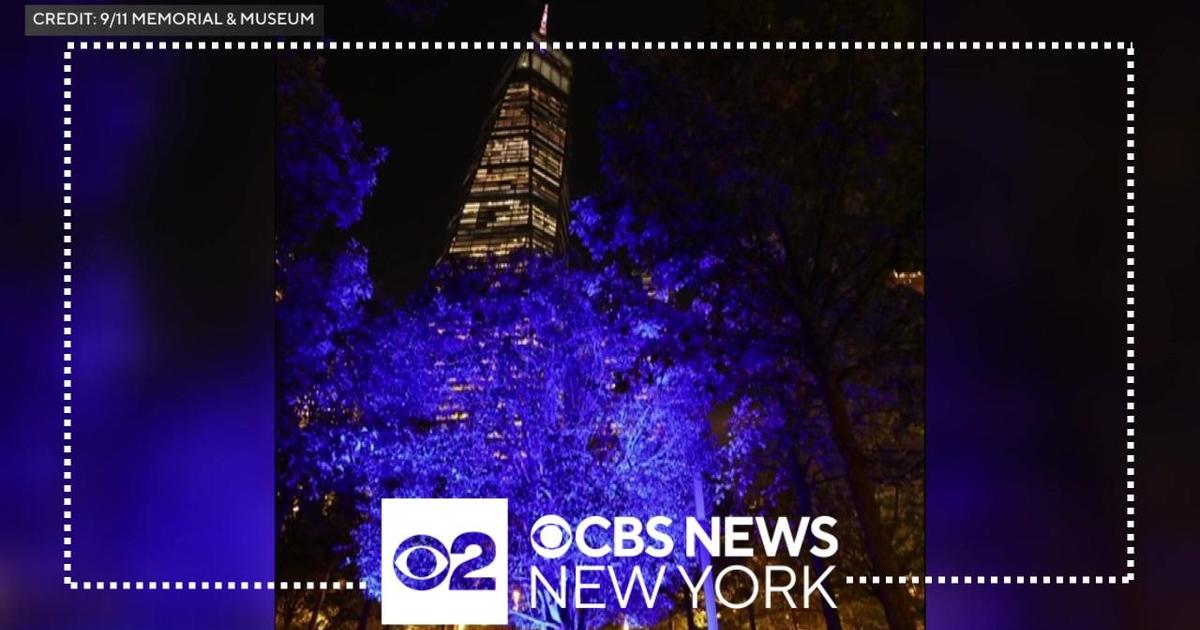 Tribeca Citizen  Survivor Tree is lit up to honor Israeli victims