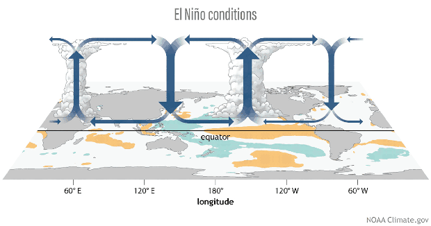 a graphic showing the Walker Circulation 