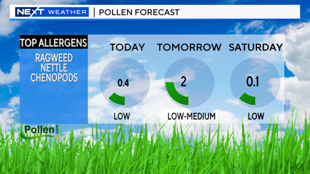 pollen-today.png 