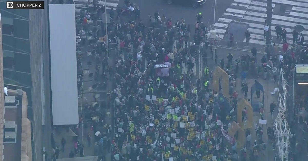 Pro-Israeli, pro-Palestinian demonstrators face off throughout New York ...