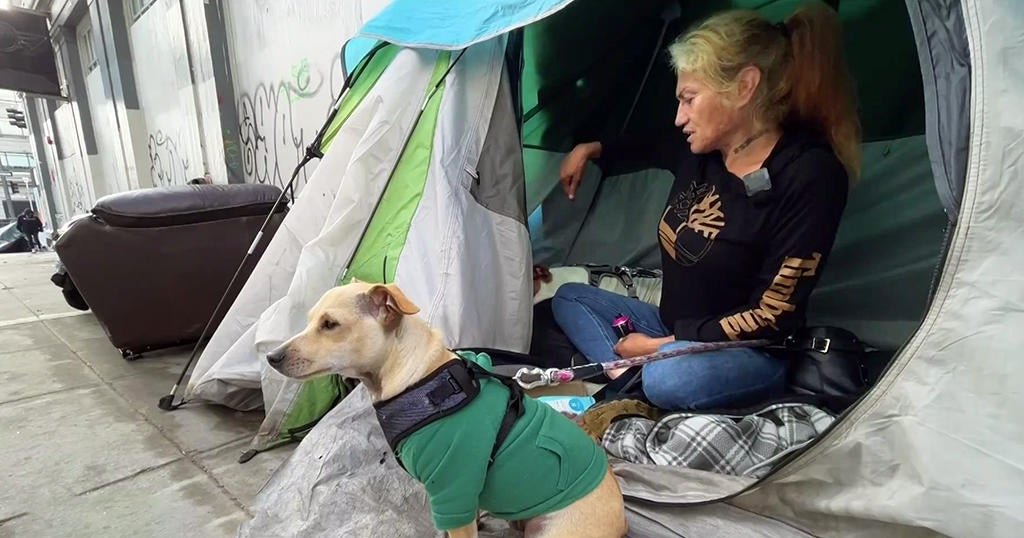 San Francisco prepares to alter how homeless encampments are managed San Francisco prepares to alter how homeless encampments are managed