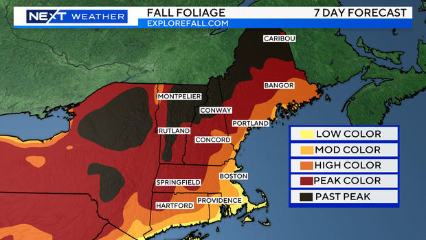 fall-foliage-october-map.jpg 