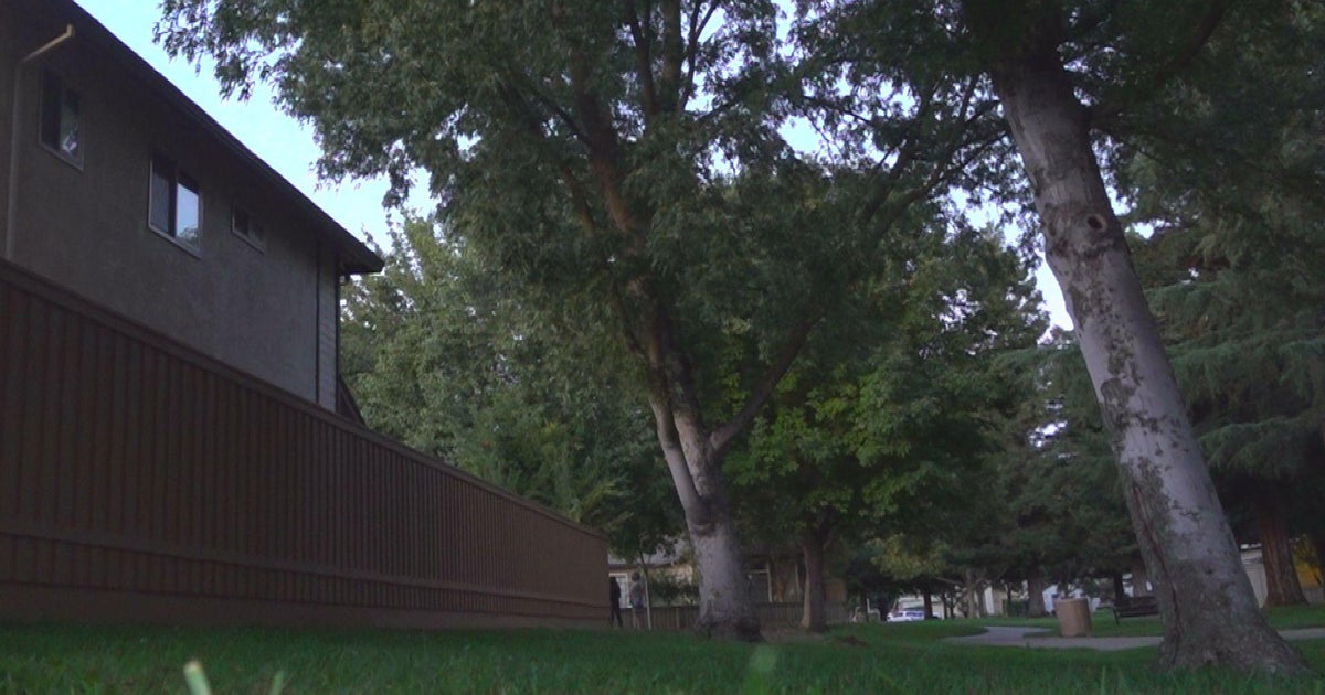 Elk Grove resident fears slanting park trees will once again topple on her home