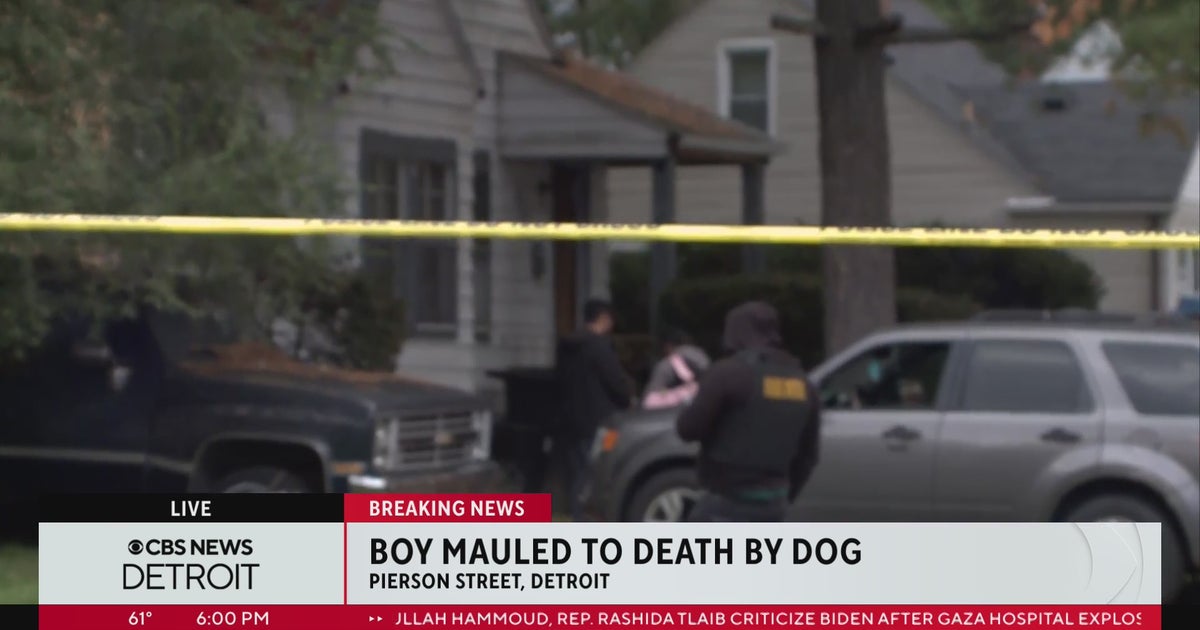 Child mauled to death by dog in Detroit - CBS Detroit