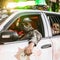 Timeline: The case against the Zombie Hunter