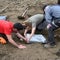 Man searching carrot field finds ancient jewelry &mdash; and multiple teeth