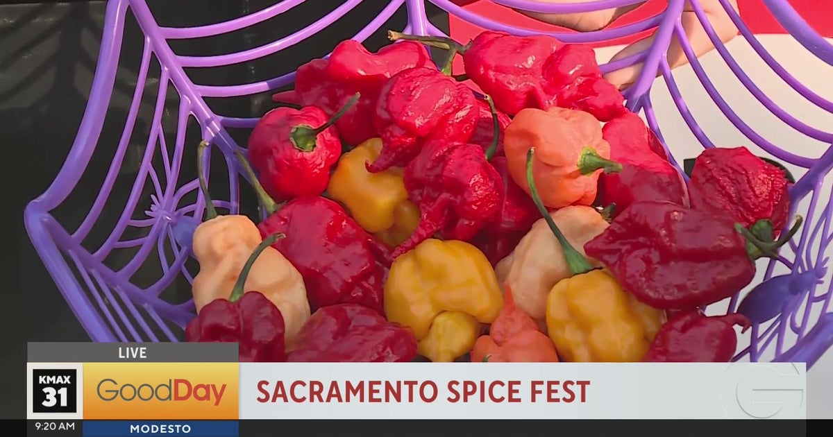 Sacramento Spice Fest - Good Day Sacramento