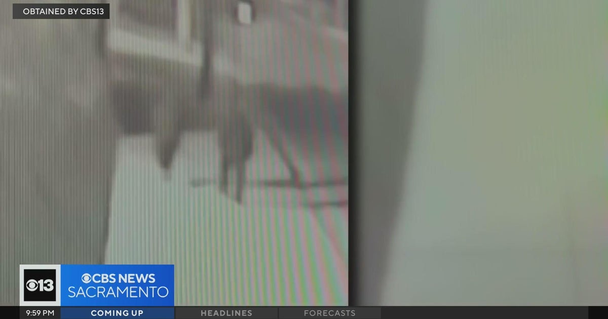 Sacramento businesses fed-up with being repeatedly targeted by thieves