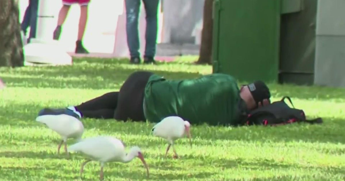 Miami-Dade County Homeless Belief wants to gather new cafe taxes to fund homeless endeavours Miami-Dade County Homeless Belief wants to gather new cafe taxes to fund homeless endeavours