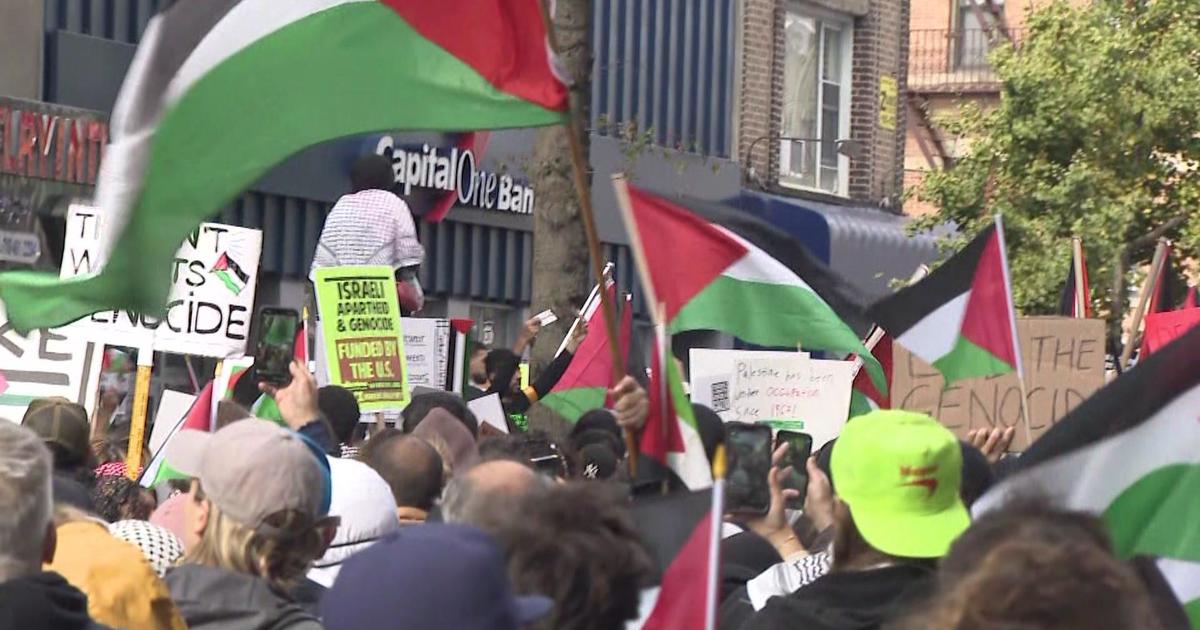 Flood Brooklyn For Palestine: Hundreds Rally For An End To Attacks On ...