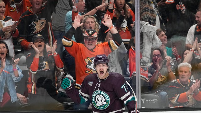 Hurricanes Ducks Hockey 